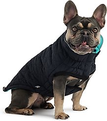GF Pet Reversible Chalet Dog Jacket, Black/Aqua, Large