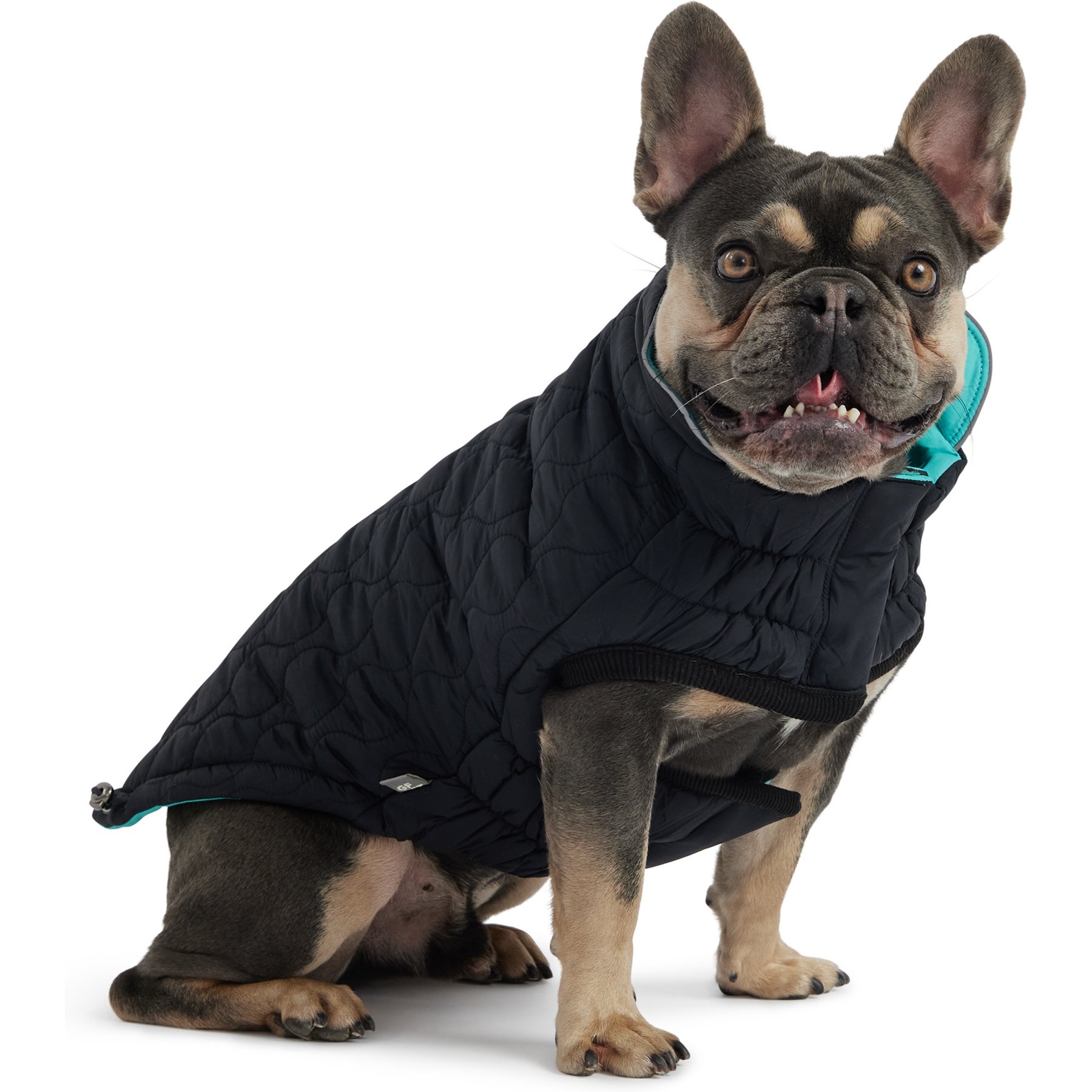 GF Pet Reversible Chalet Dog Jacket, Black/Aqua, Large
