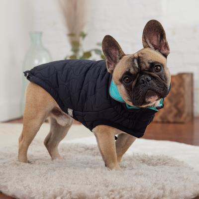 Show full view: GF Pet Reversible Chalet Dog Jacket, Black/Aqua, Medium slide 8 of 12