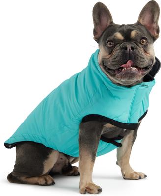 Show full view: GF Pet Reversible Chalet Dog Jacket, Black/Aqua, Medium slide 4 of 12