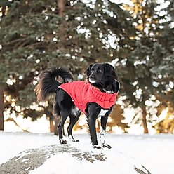 GF Pet Reversible Chalet Dog Jacket, Red, X-Small slide 2 of 6