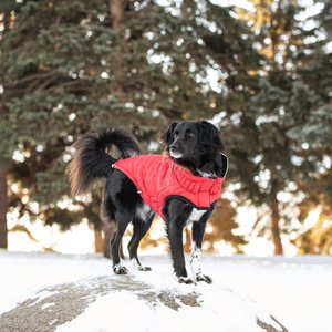 GF Pet Reversible Chalet Dog Jacket, Red, Medium