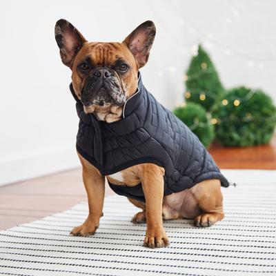 Show full view: GF Pet Reversible Chalet Dog Jacket, Black, XX-Small slide 5 of 9