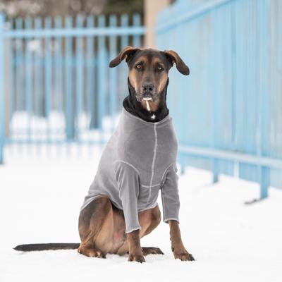 Show full view: GF Pet Gondola Base Layer Dog Sweater, Charcoal, Large slide 5 of 9