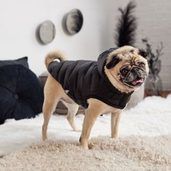 GF Pet Cloud Dog Parka, Black, X-Large slide 2 of 9