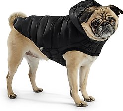 GF Pet Cloud Dog Parka, Black, Medium