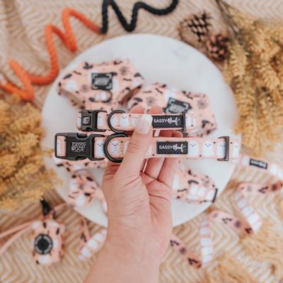 Show full view: Sassy Woof Squad Ghouls Dog Collar, Large: 26-in neck, 1-in wide slide 5 of 7