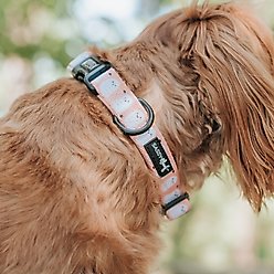 Sassy Woof Squad Ghouls Dog Collar, Medium: 19.7-in neck, 3/4-in wide slide 2 of 7