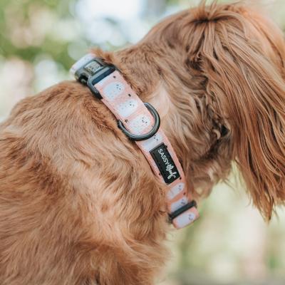 Show full view: Sassy Woof Squad Ghouls Dog Collar, Large: 26-in neck, 1-in wide slide 6 of 7