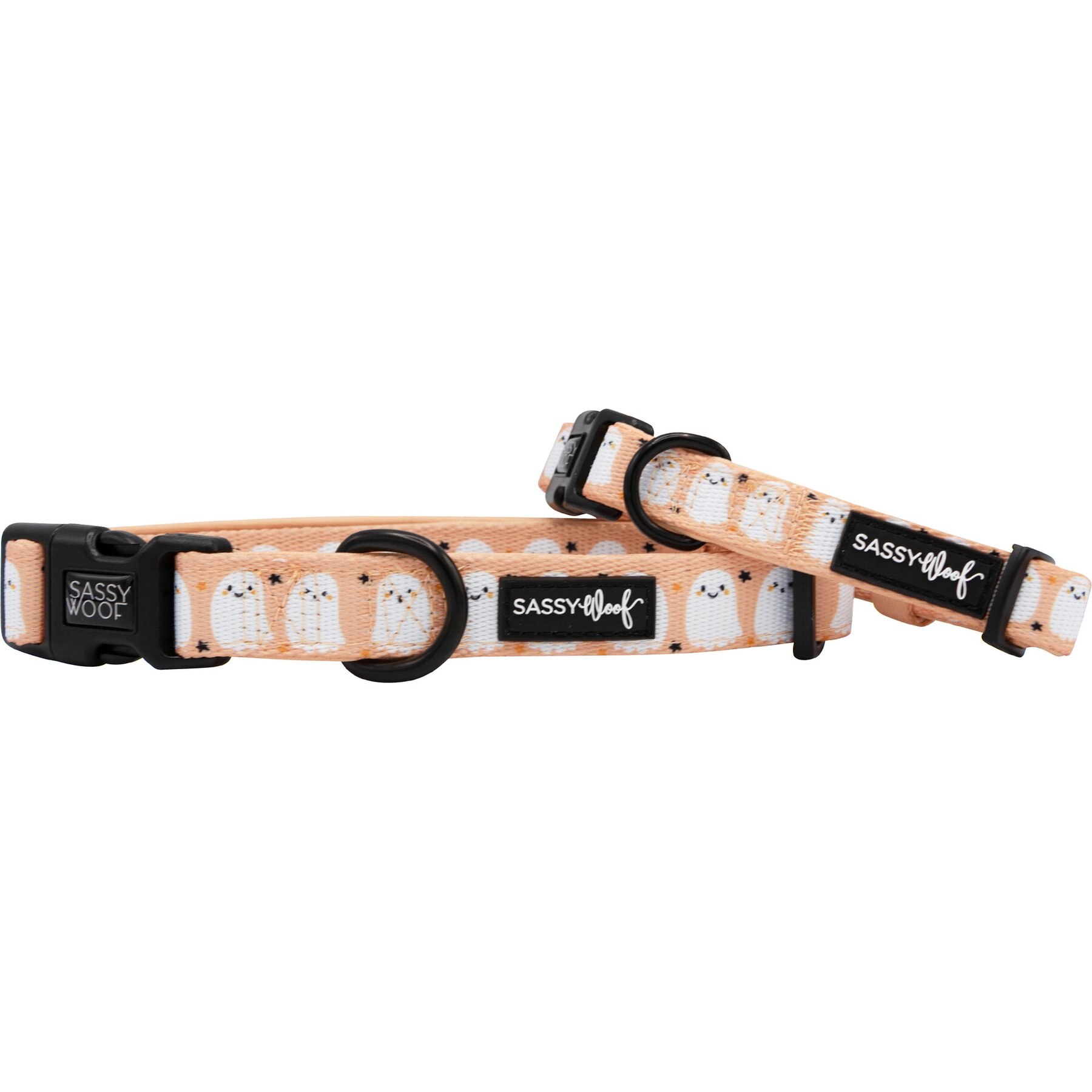 Sassy Woof Squad Ghouls Dog Collar, Large: 26-in neck, 1-in wide