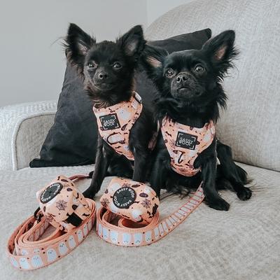 Show full view: Sassy Woof Squad Ghouls Dog Leash, 5-ft long, 4/5-in wide slide 5 of 5