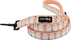 Sassy Woof Squad Ghouls Dog Leash, 5-ft long, 4/5-in wide
