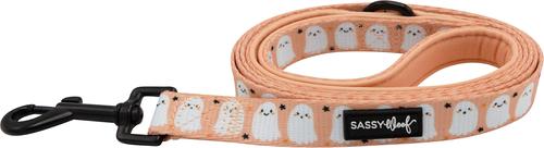 Show full view: Sassy Woof Squad Ghouls Dog Leash, 5-ft long, 4/5-in wide slide 2 of 5