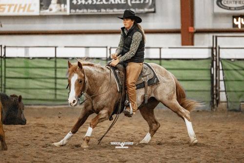 Show full view: ThinLine Wax Tough Rider Saddle Pad, Black, 30 x 30-in slide 3 of 3