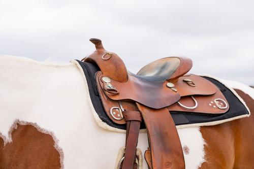 Show full view: ThinLine Wax Tough Rider Saddle Pad, Black, 30 x 30-in slide 2 of 3