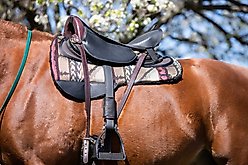 ThinLine Contour Western Ranch Round Skirt Saddle Pad, Brown slide 2 of 2