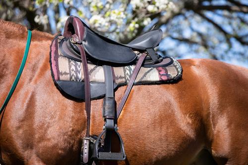 Show full view: ThinLine Contour Western Ranch Round Skirt Saddle Pad, Birch Pattern slide 2 of 2