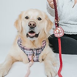 Sassy Woof Potty Pal Dog Poop Bag Holder, Sweet Treats slide 2 of 7