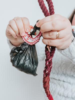 Show full view: Sassy Woof Potty Pal Dog Poop Bag Holder, Sweet Treats slide 7 of 8