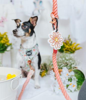 Show full view: Sassy Woof Potty Pal Dog Poop Bag Holder, Good Duck, Babe! slide 6 of 6