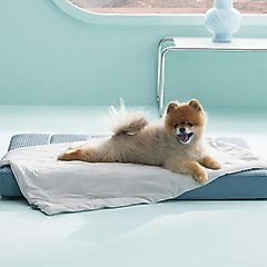 Bedsure Cooling Dog & Cat Blanket, Grey, Small