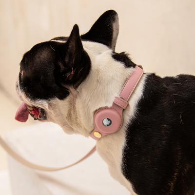 Show full view: Nina Woof Cupertino Dog Collar, Pink, X-Small: 9 to 12-in neck, 0.79-in wide slide 6 of 9