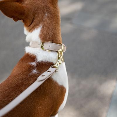 Show full view: Nina Woof Cupertino Dog Collar, Beige, X-Small: 9 to 12-in neck, 0.79-in wide slide 7 of 9