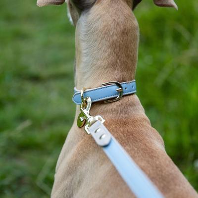 Show full view: Nina Woof Cupertino Dog Leash, Blue, 4-ft long, 1-in wide slide 6 of 9