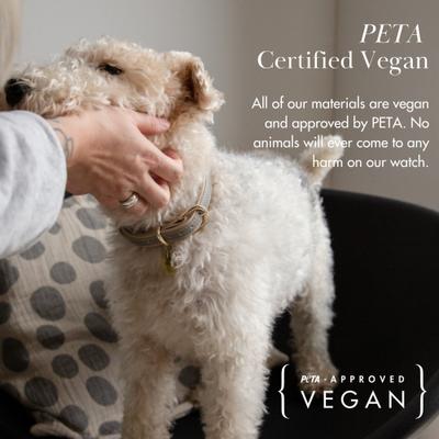 Show full view: Nina Woof Cupertino Dog Leash, Beige, 4-ft long, 1-in wide slide 8 of 9