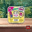 Show in main carousel: C&S High Energy Suet Wild Bird Food, case of 8 slide 8 of 13