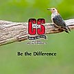 Show in main carousel: C&S High Energy Suet Wild Bird Food, case of 8 slide 6 of 13