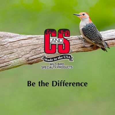 Show full view: C&S High Energy Suet Wild Bird Food, case of 8 slide 6 of 13