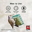 Show in main carousel: C&S High Energy Suet Wild Bird Food, case of 8 slide 4 of 13
