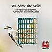 Show in main carousel: C&S High Energy Suet Wild Bird Food, case of 8 slide 3 of 13