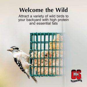 C&S Peanut Delight No Melt Suet Dough Wild Bird Food, 11.75-oz tray, 1 count