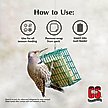 Show in main carousel: C&S Peanut Delight No Melt Suet Dough Wild Bird Food, 11.75-oz tray, 1 count slide 4 of 12
