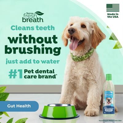 Show full view: TropiClean Fresh Breath Dental Water Additive Plus Gut Health for Dogs, 16-fl oz bottle slide 6 of 12