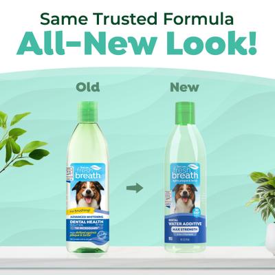 Show full view: TropiClean Fresh Breath Max Strength Dental Water Additive for Dogs, 16-fl oz bottle slide 3 of 12