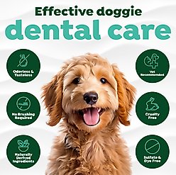 TropiClean Fresh Breath Dental Water Additive for Puppies, 16-fl oz bottle slide 2 of 9