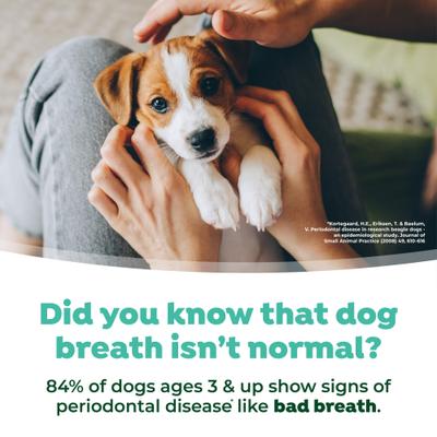 Show full view: TropiClean Fresh Breath Dental Water Additive for Puppies, 16-fl oz bottle slide 9 of 12