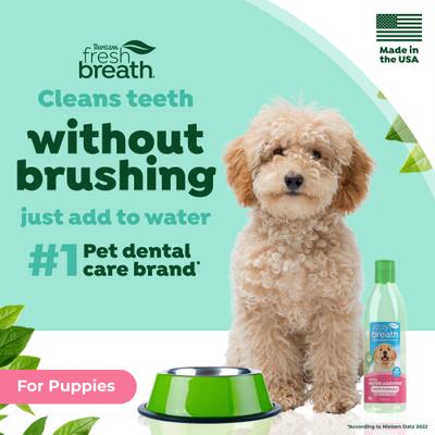 Show full view: TropiClean Fresh Breath Dental Water Additive for Puppies, 16-fl oz bottle slide 6 of 12