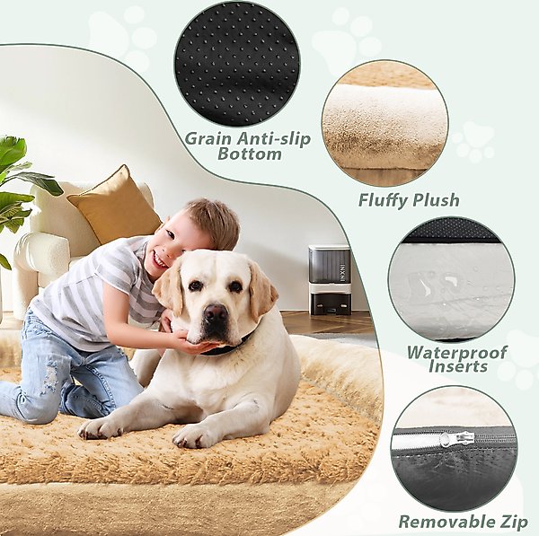 LovMor Memory Foam Orthopedic Sofa Dog Bed with Removable Cover