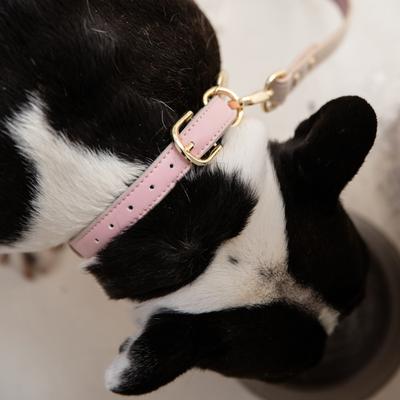 Show full view: Nina Woof Cupertino Dog Collar, Pink, X-Small: 9 to 12-in neck, 0.79-in wide slide 7 of 9