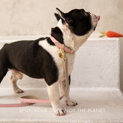 Nina Woof Cupertino Dog Leash, Pink, 4-ft long, 1-in wide slide 2 of 8