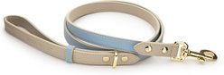 Nina Woof Cupertino Dog Leash, Blue, 4-ft long, 1-in wide slide 1 of 9