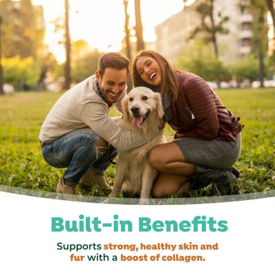 Show full view: TropiClean Fresh Breath Dental Water Additive Skin & Coat with Collagen for Dogs, 16-fl oz bottle slide 9 of 12