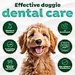 Show in main carousel: TropiClean Fresh Breath Dental Water Additive for Dogs, 33.8-fl oz bottle slide 7 of 11