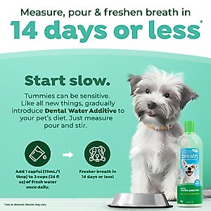 TropiClean Fresh Breath Dental Water Additive for Dogs, 33.8-fl oz bottle