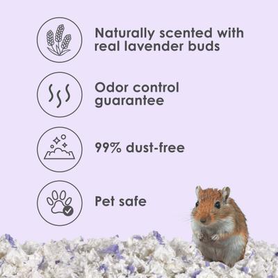 Show full view: Kaytee Clean & Cozy Scented Small Animal Bedding, Lavender, 24.6-L slide 2 of 16