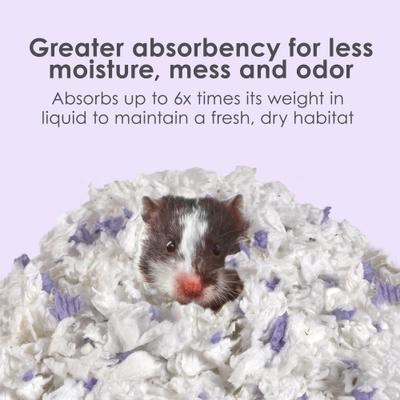 Show full view: Kaytee Clean & Cozy Scented Small Animal Bedding, Lavender, 24.6-L slide 5 of 16